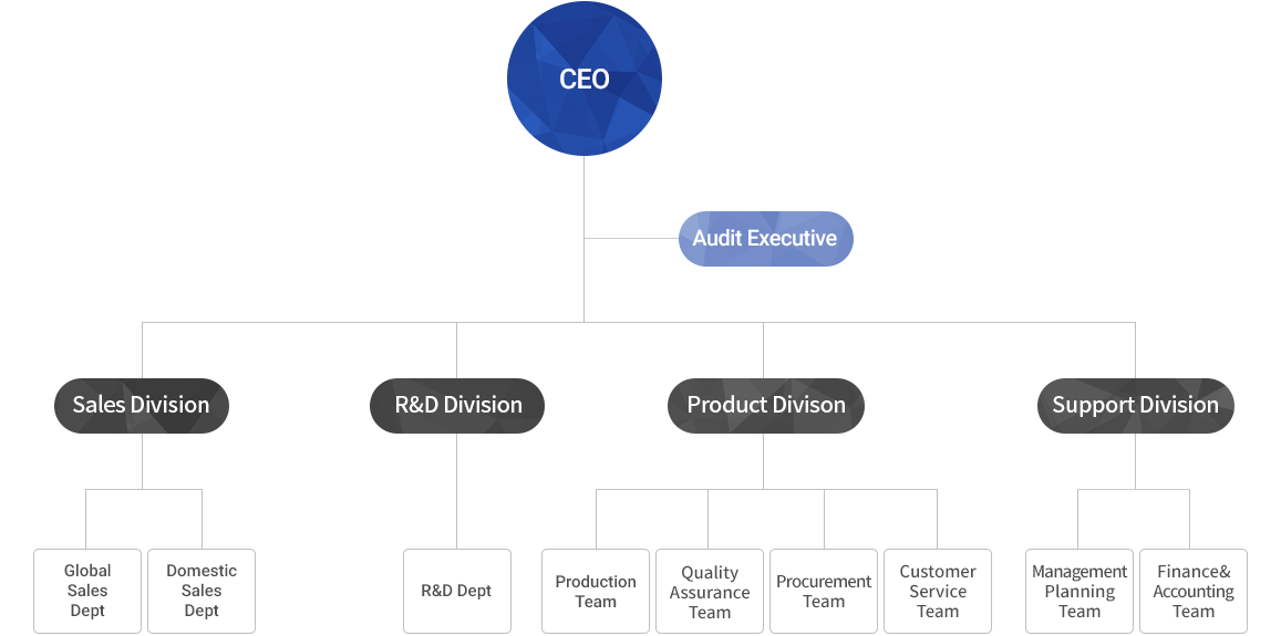 St Electronics Organisation Chart